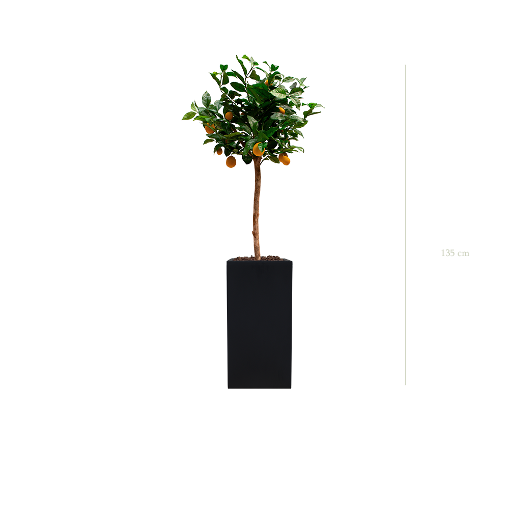 The Lemon tree in a tall black cube pot #Artificial
