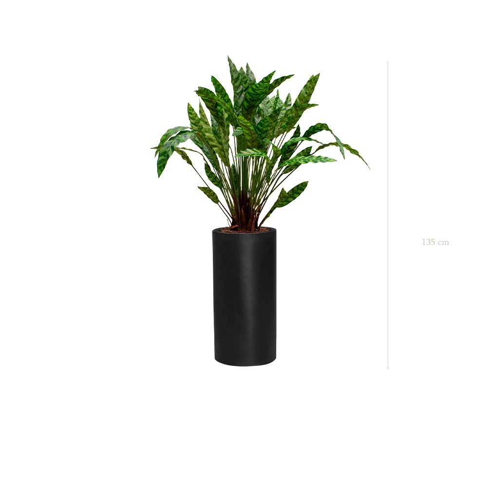 Le Calathea - Cylindre Haut Noir #Artificiel