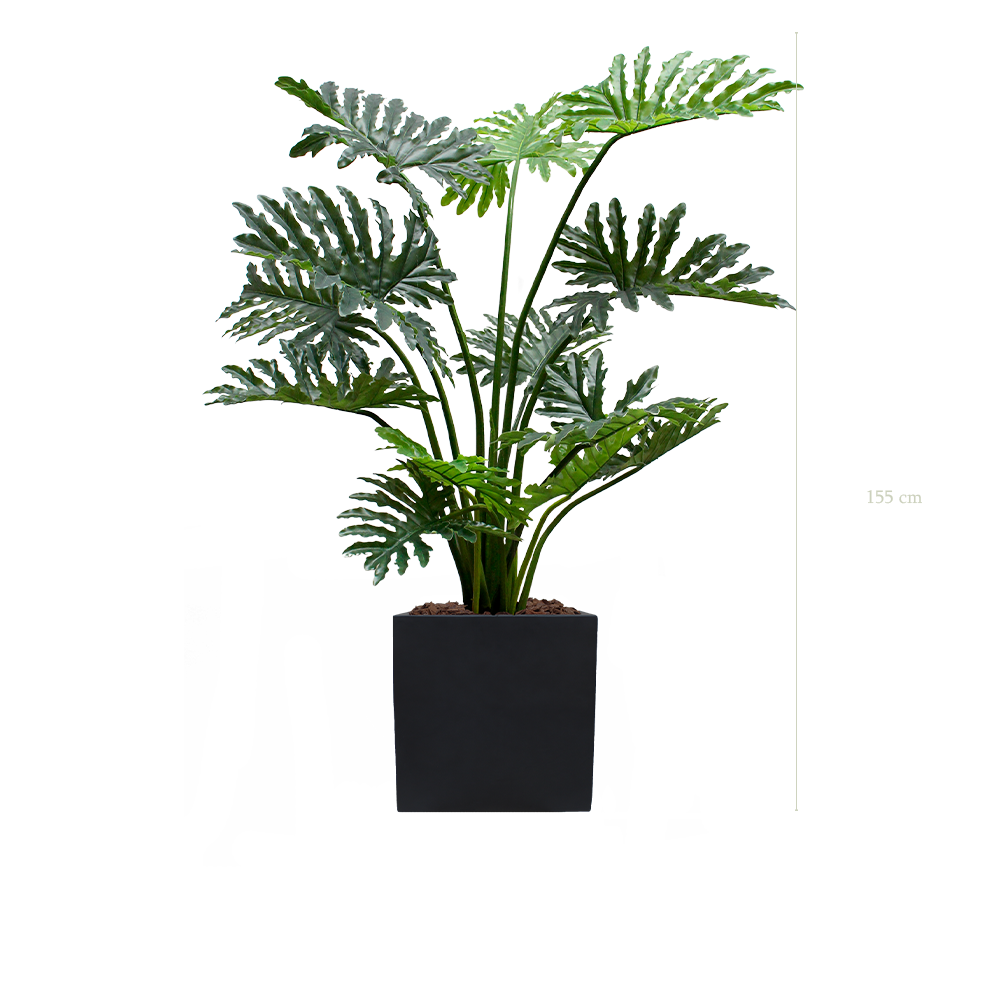 der Philodendron - Schwarzer kubischer Topf  #künstlich