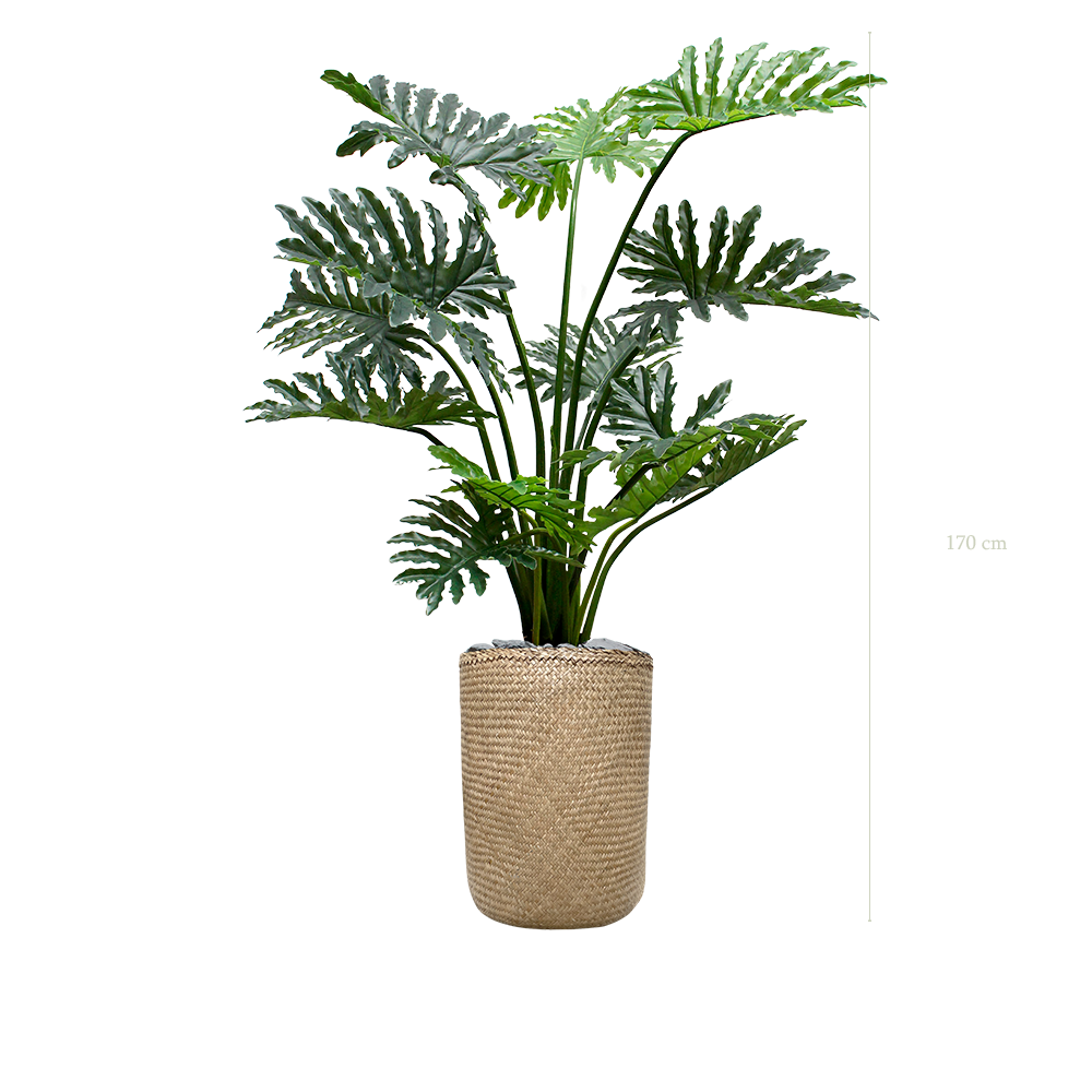 Le Philodendron - Pot Tressé #Artificiel