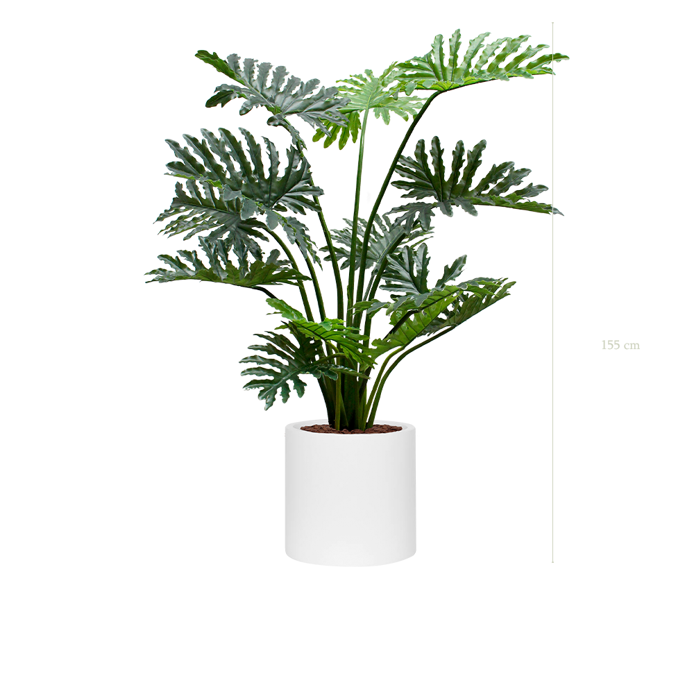 Le Philodendron - Cylindre Blanc #Artificiel