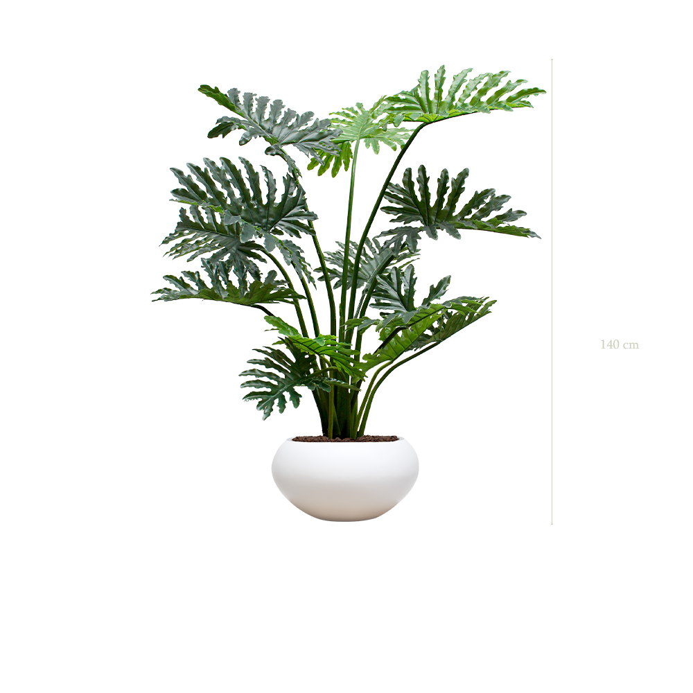 Le Philodendron - Pot Ovale Blanc - Artificiel