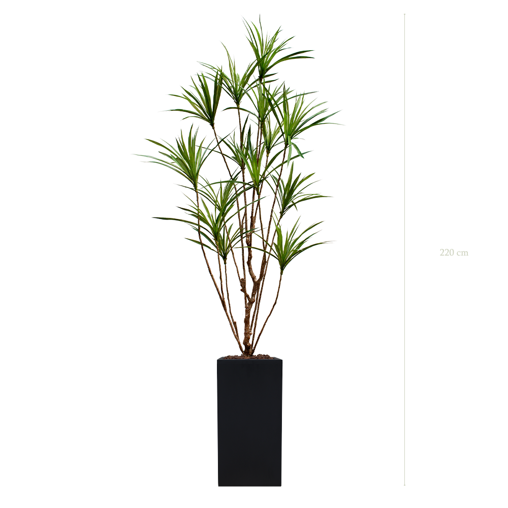 The Dracena in a tall black cube pot #Artificial