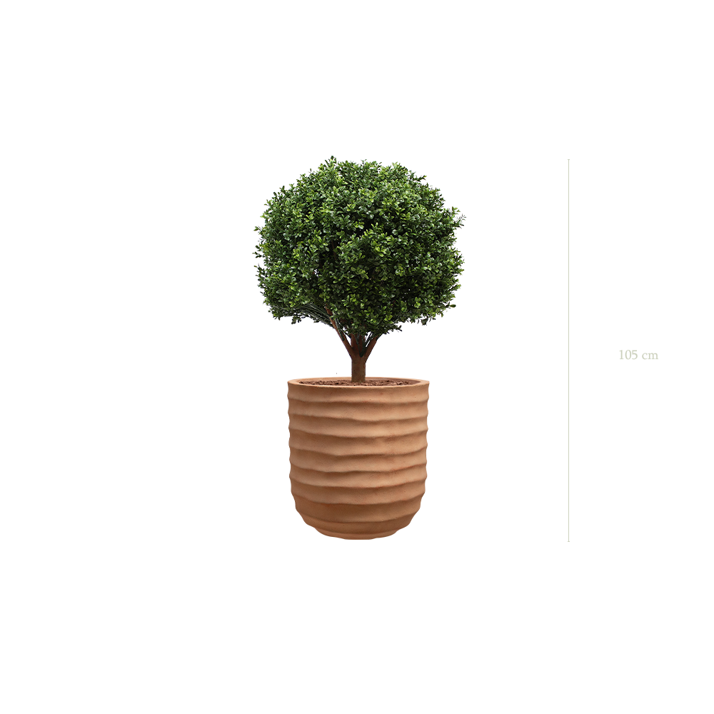 Le Buis - Pot Terracotta #Artificiel