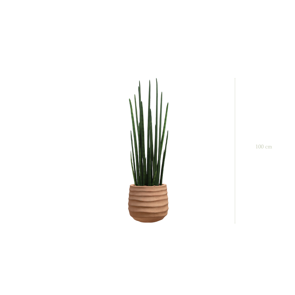 Le Sansevieria - Pot Terracotta #Artificiel