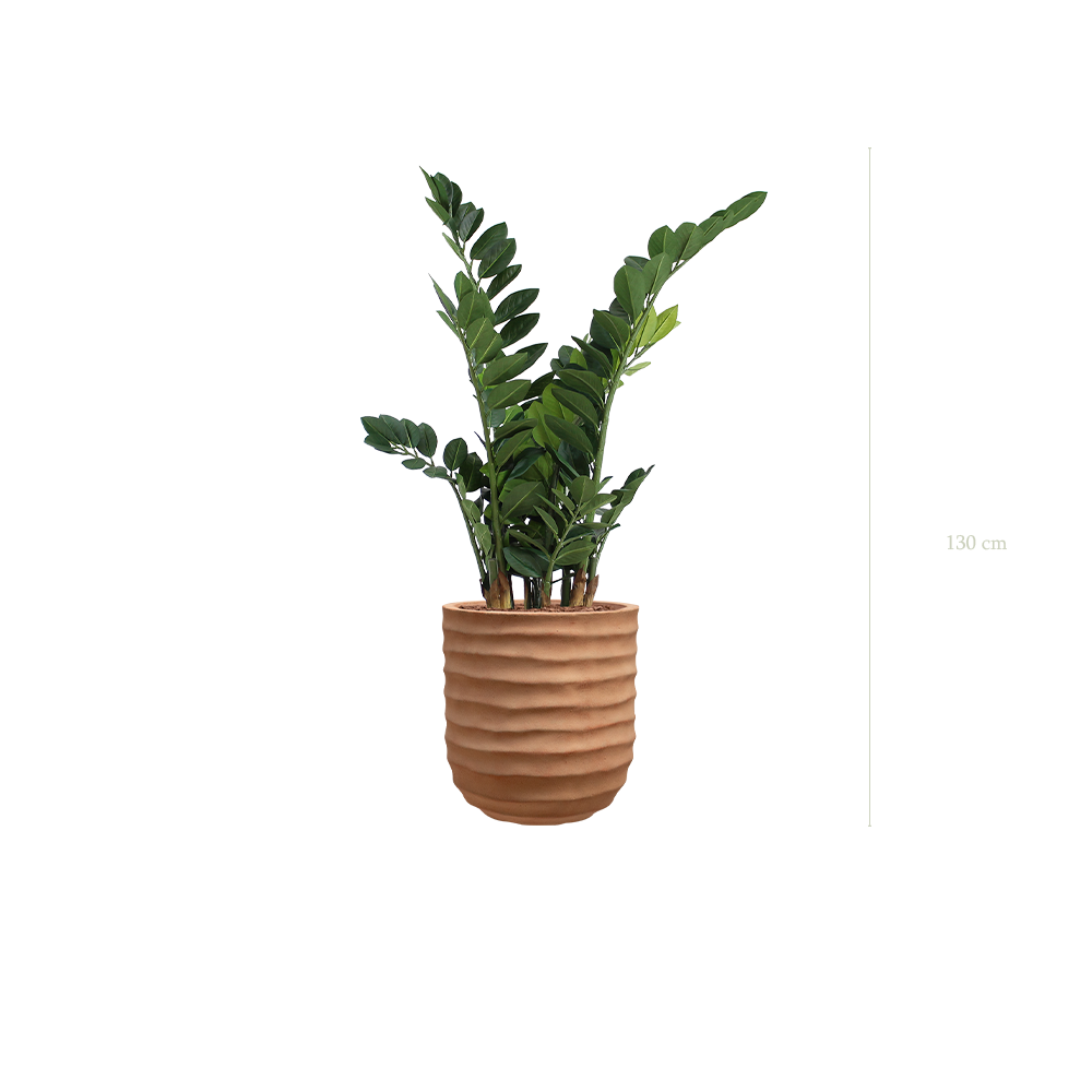 Le Zamia - Pot Terracotta #Artificiel