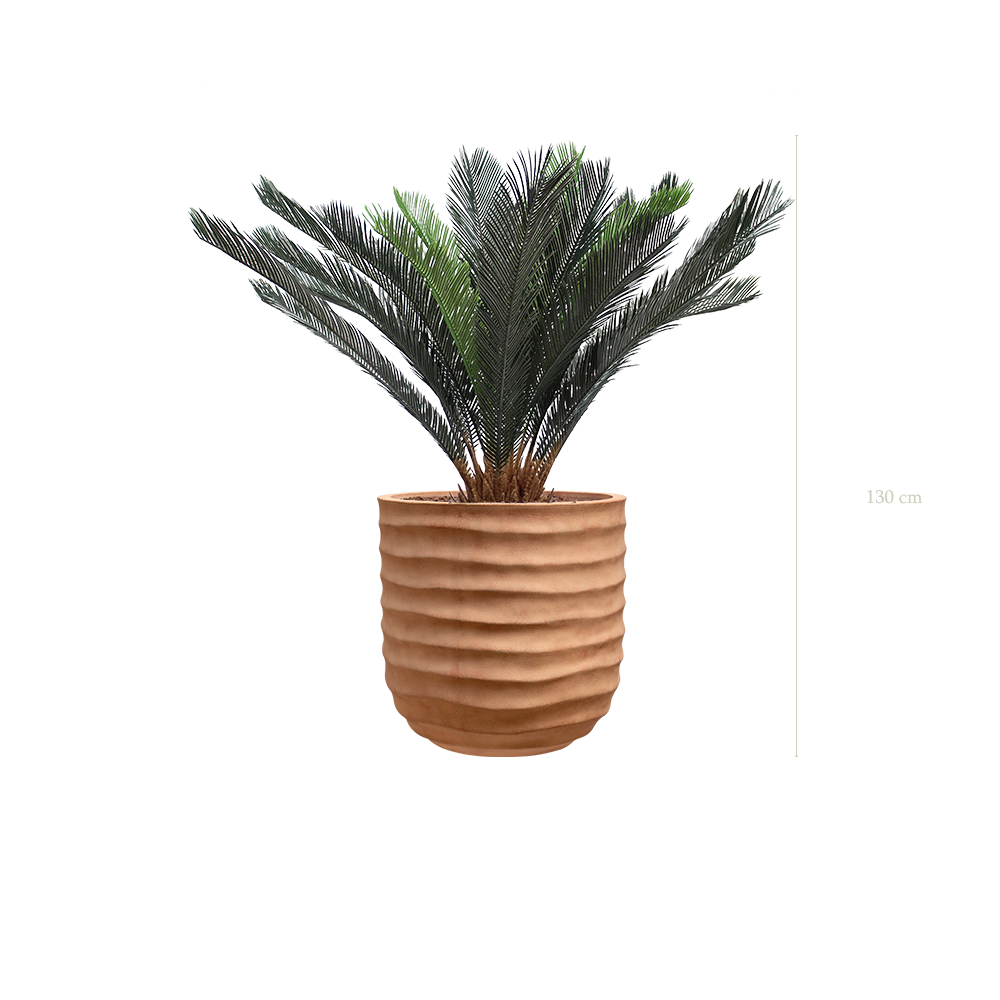 der Cycas - Terracotta Topf #künstlich