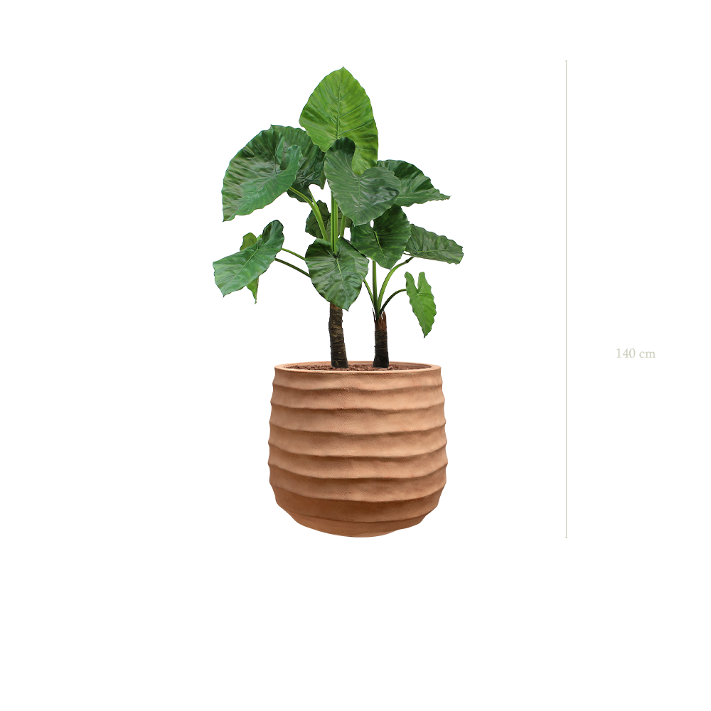 Die Große Alocasia - Terracotta-Topf #Künstlich