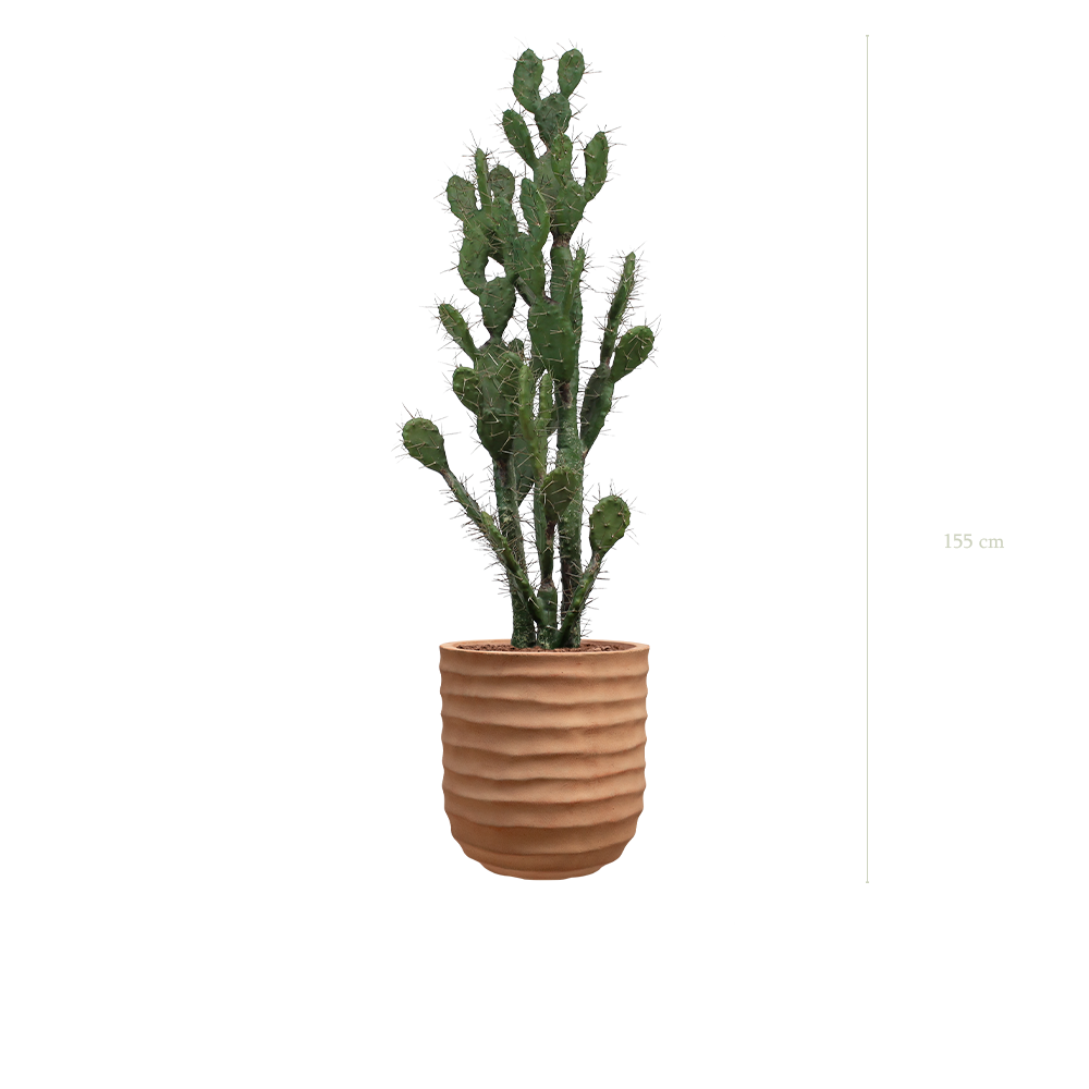 Le Cactus - Pot Terracotta - Artificiel