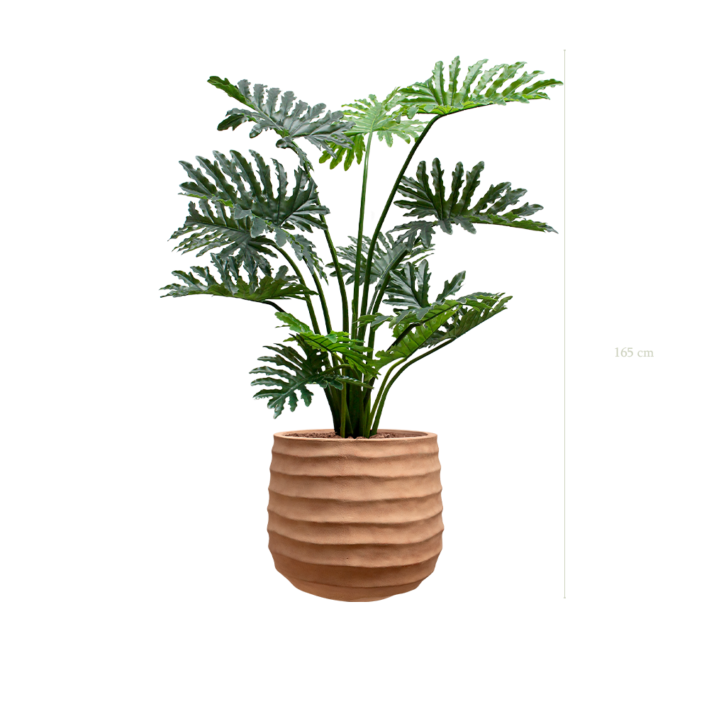 der Philodendron - terracotta Topf #künstlich