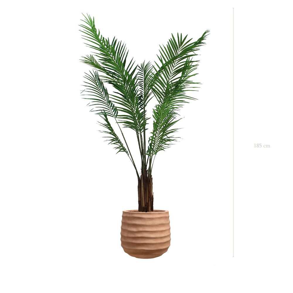The Areca in a terracotta pot #Artificial