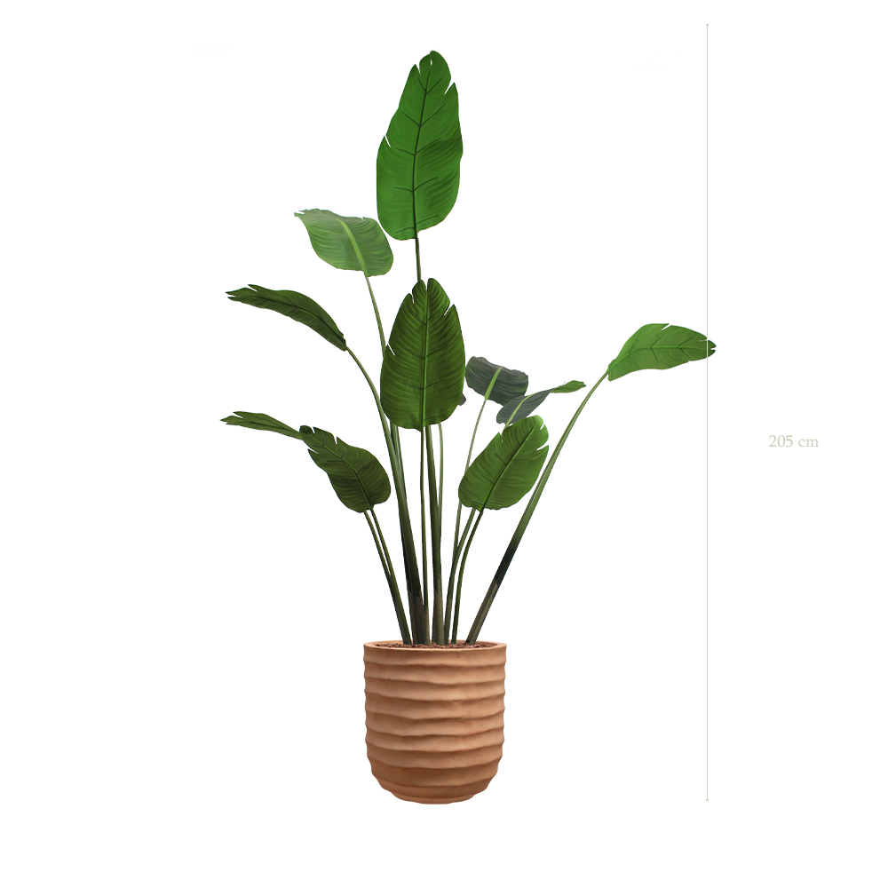 Le Bananier - Pot Terracotta - Artificiel