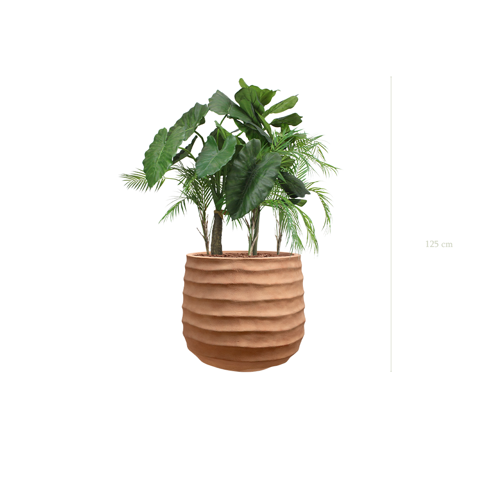 The Palawan in a terracotta pot #Artificial