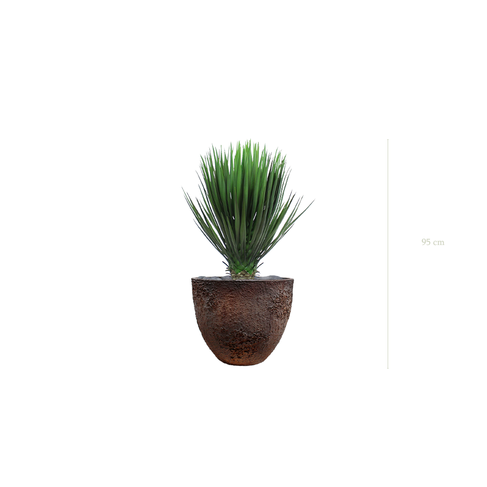 Le Yucca - Pot Oyster #Artificiel