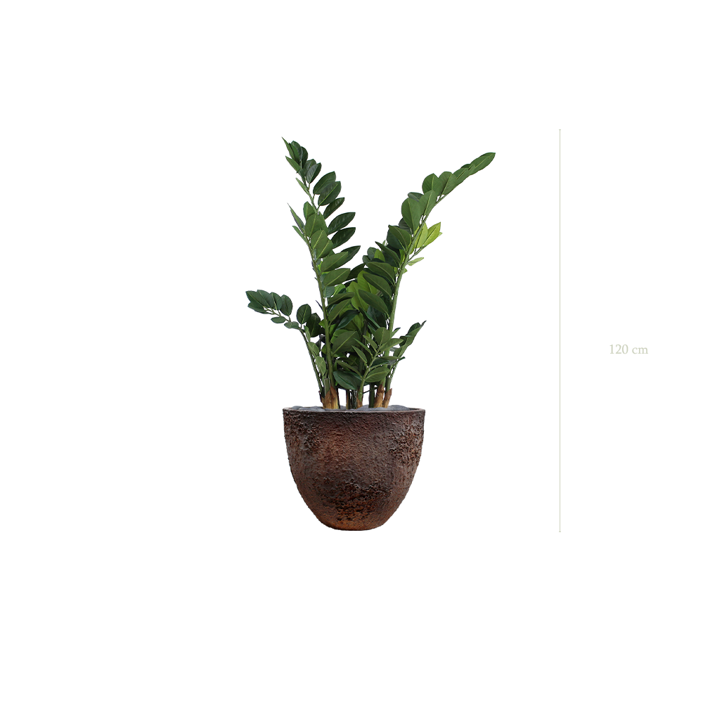 der Zamia - texturierter brauner Topf  #künstlich