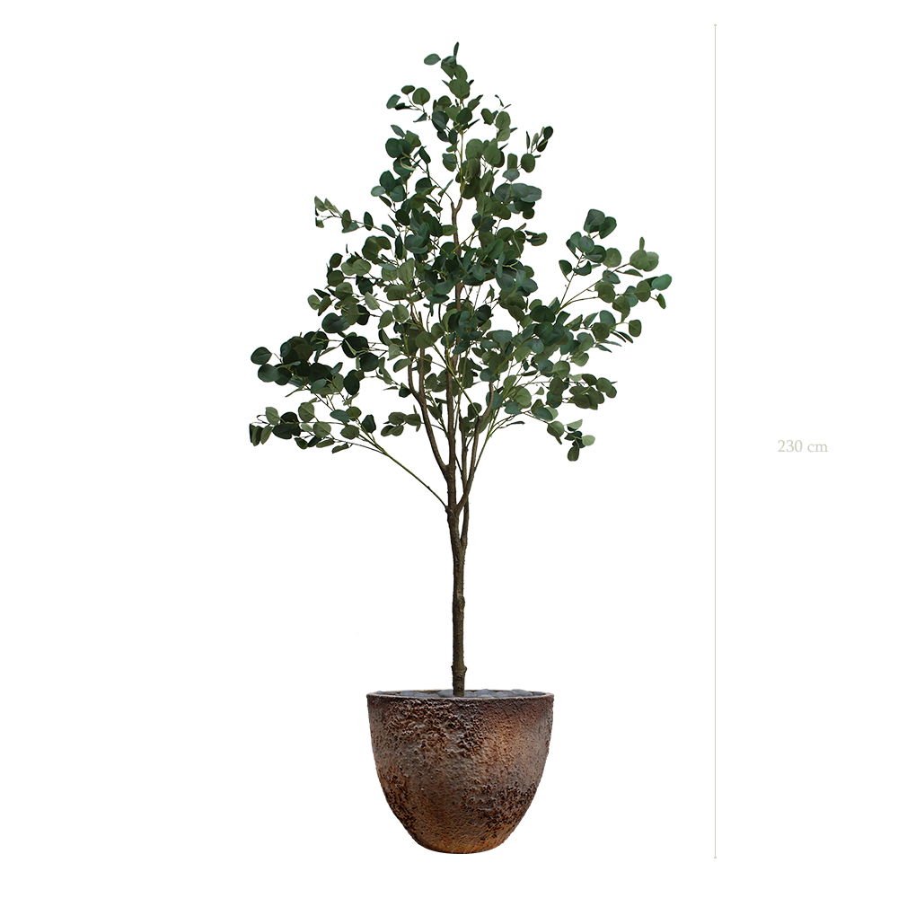 L'Eucalyptus - Pot Oyster - Artificiel
