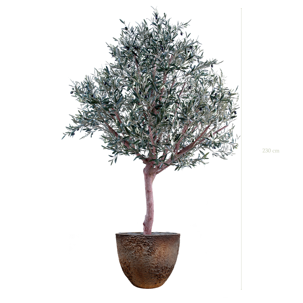 L'Olivier 230 - Pot Oyster - Artificiel