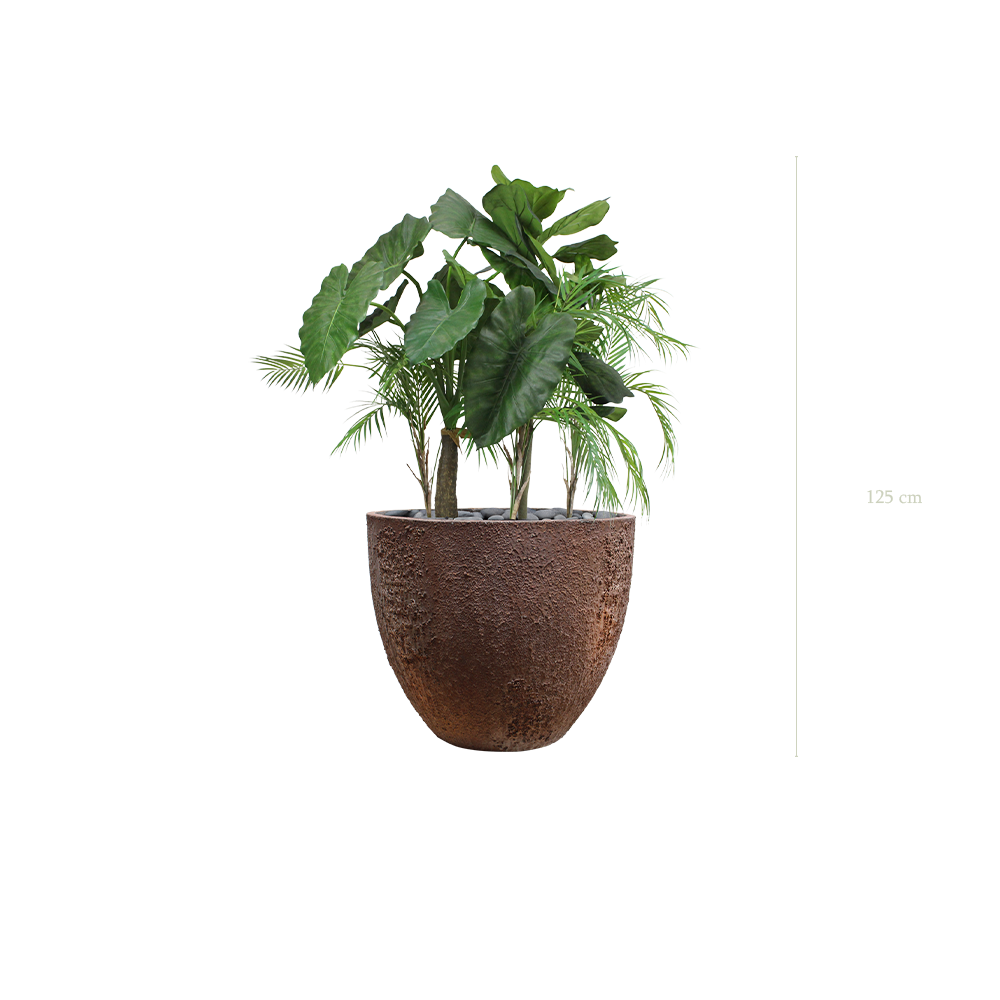 The Palawan in a brown oyster pot #Artificial