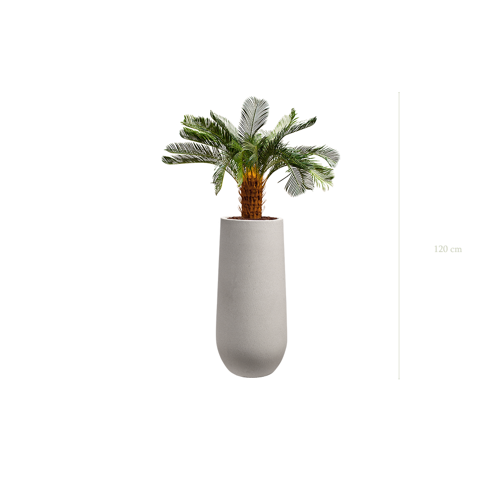 The small Cycas in a mineral grey pot #Artificial