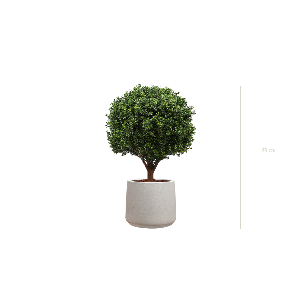 The Boxwood in a mineral grey pot #Artificial