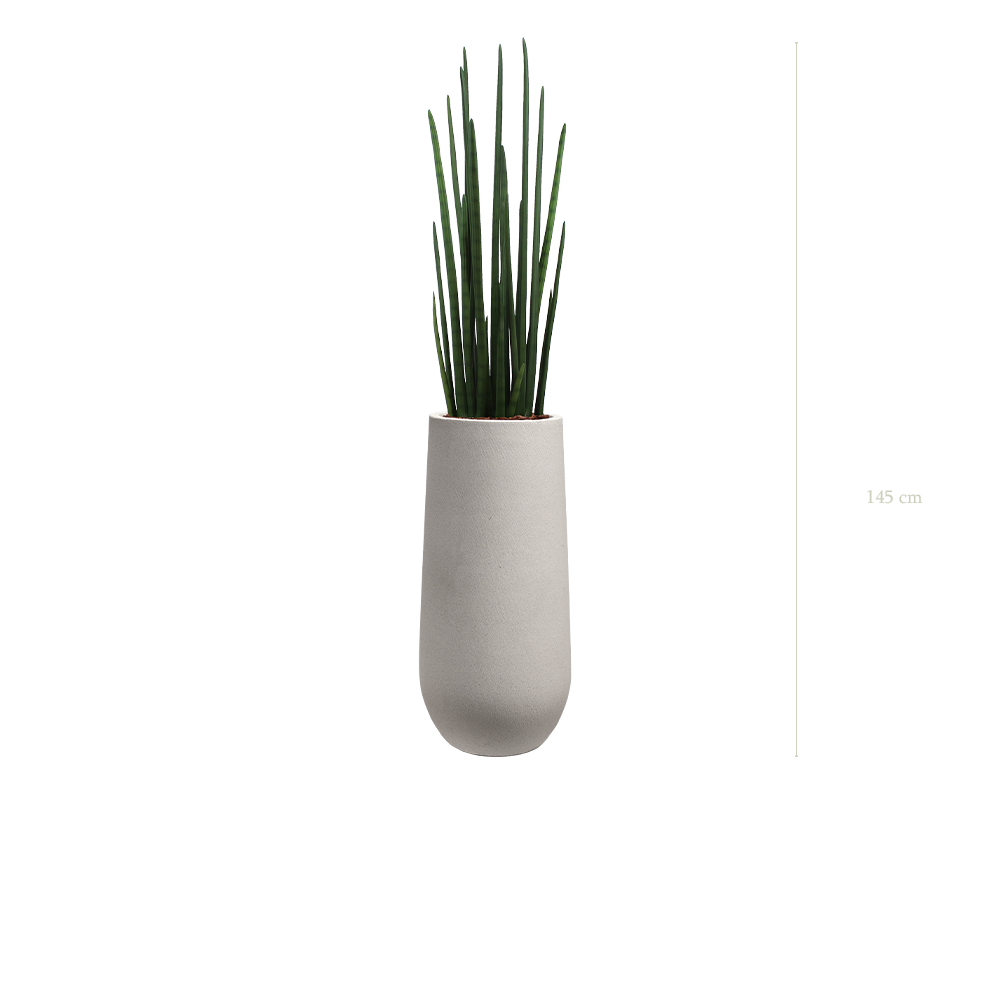 Le Sansevieria - Pot Sable #Artificiel