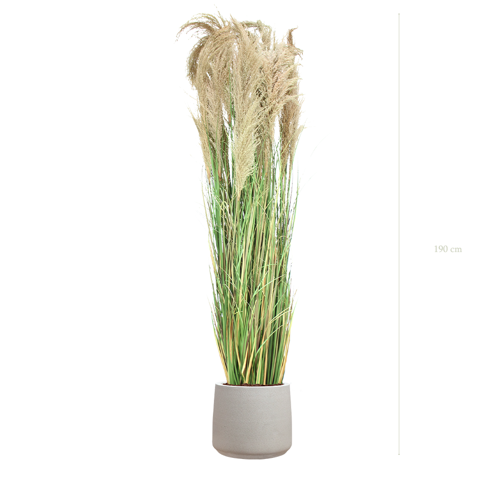 The Tall Pampa in a mineral grey pot #Artificial