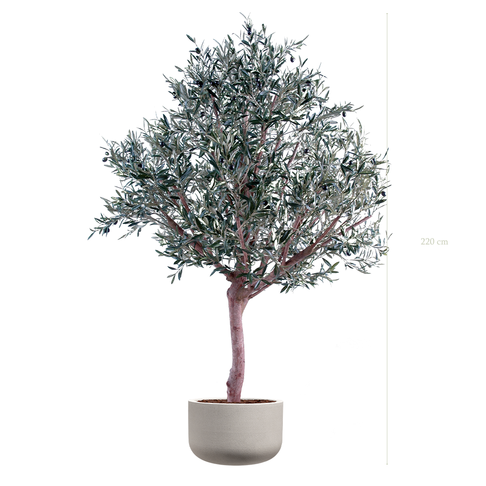 The Olive tree in a mineral grey pot #Artificial