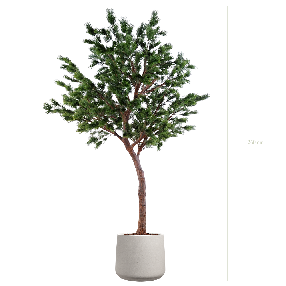 The Tall Pine Tree in a mineral grey pot #Artificial