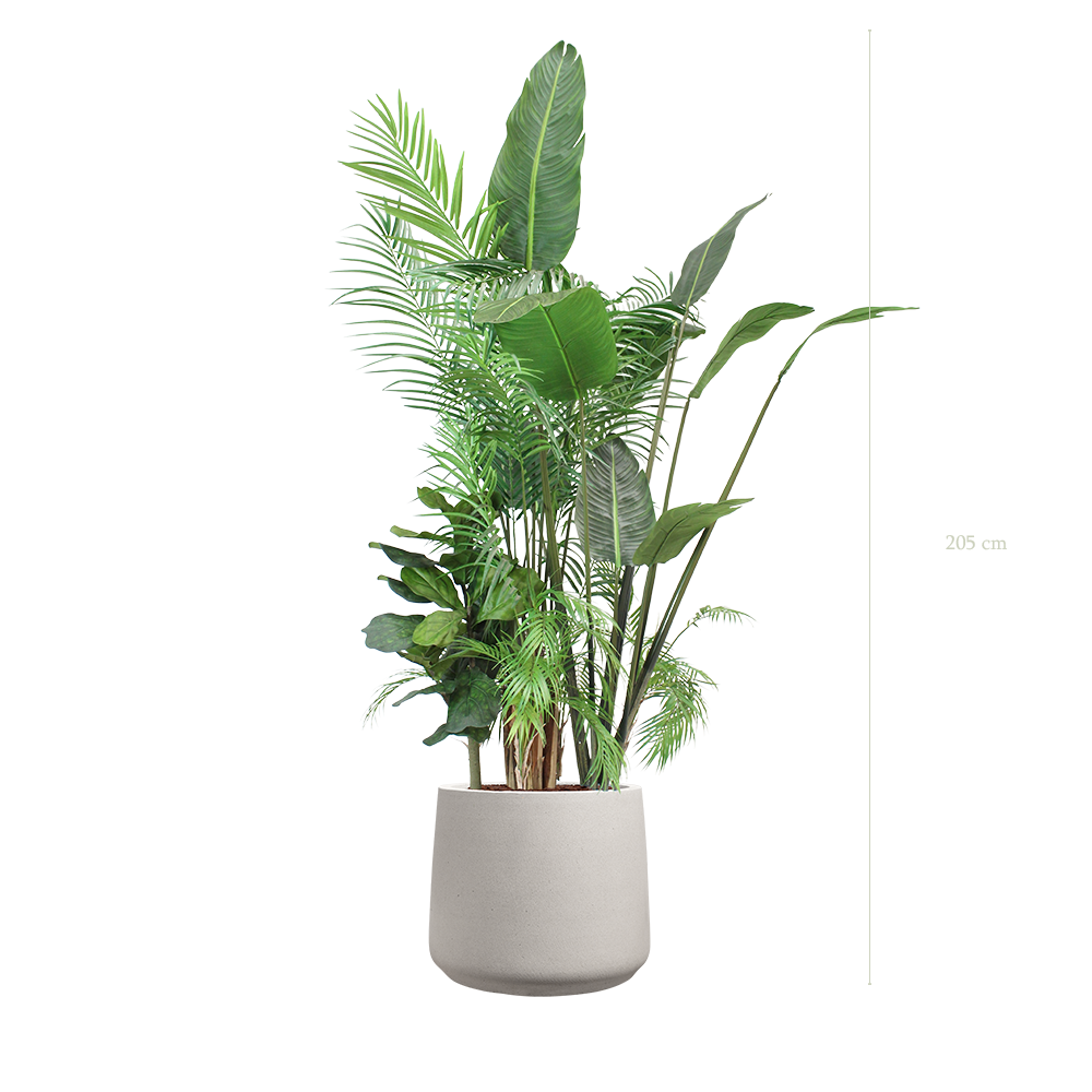 The Bornéo in a mineral grey pot #Artificial