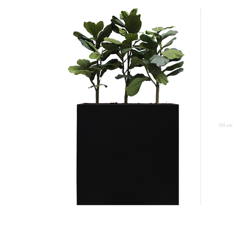 [A-PT1-FB4] The Lyrata L. Black Divider  #Artificial