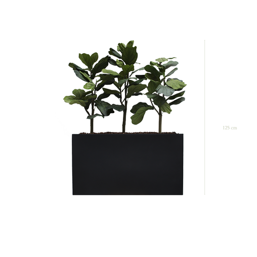 [A-PT1-FB5] The Lyrata S. Black Divider  #Artificial