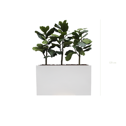 [A-PT1-FB6] The Lyrata S. White Divider #Artificial
