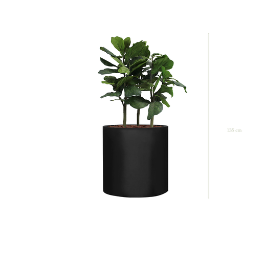 [A-PT1-FB27] The Lyrata in a black large round pot #Artificial