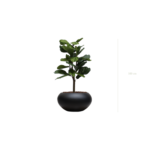 [A-PT1-FB13] Le Lyrata - Pot Ovale Noir #Artificiel