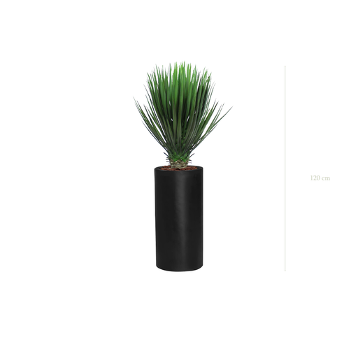 [A-PT13-FB17] Le Yucca - Cylindre Haut Noir #Artificiel