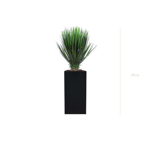 [A-PT13-FB19] Le Yucca - Cube Haut Noir #Artificiel