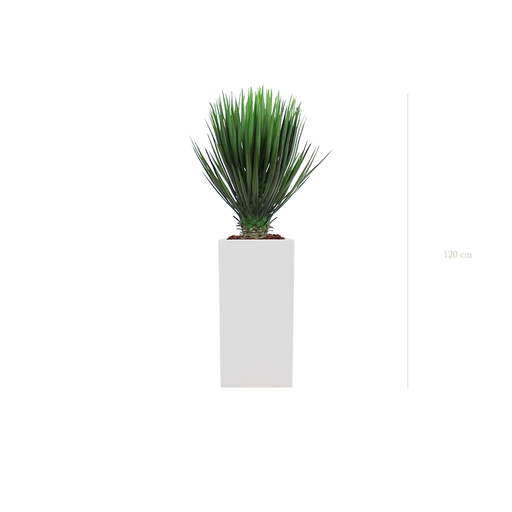 [A-PT13-FB20] Le Yucca - Cube Haut Blanc #Artificiel