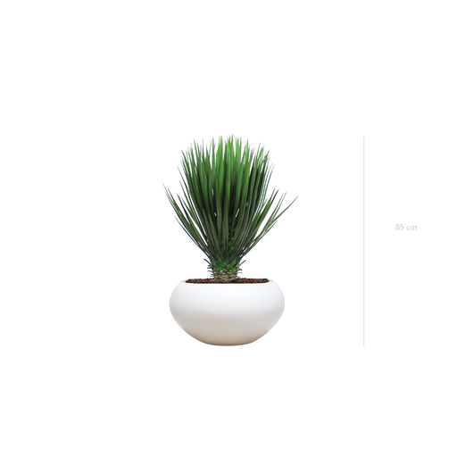 [A-PT13-FB14] Le Yucca - Pot Ovale Blanc #Artificiel