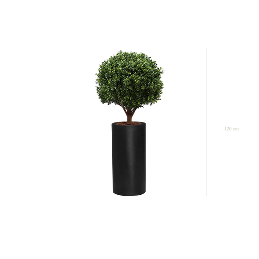 [A-PT9-FB17] The Boxwood in a black cylinder pot #Artificial