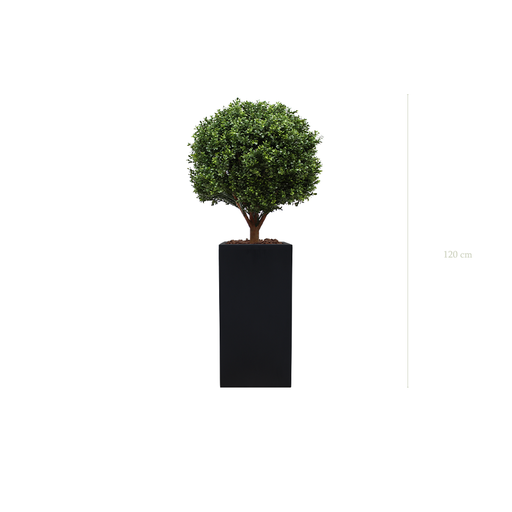 [A-PT9-FB19] Le Buis - Cube Haut Noir #Artificiel