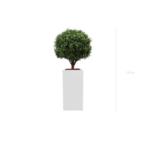 [A-PT9-FB20] Le Buis - Cube Haut Blanc #Artificiel