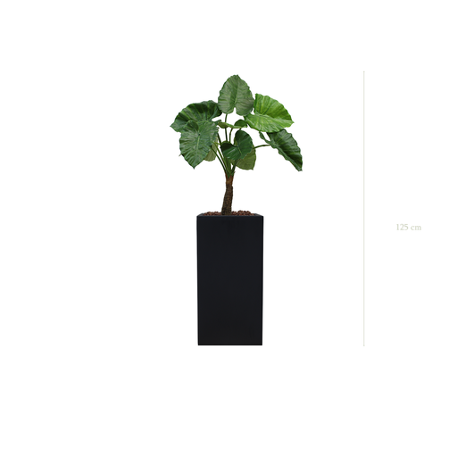 [A-PT5-FB19] The Alocasia in a tall black cube pot #Artificial