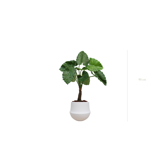 [A-PT5-CE1] Le Petit Alocasia - Pot Rond Blanc #Artificiel