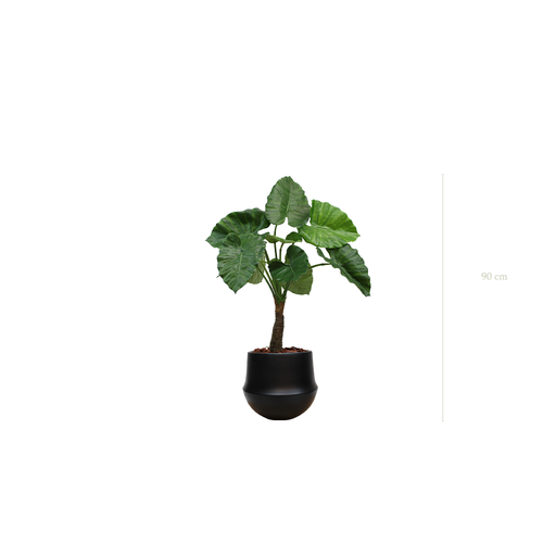[A-PT5-CE9] The Small Alocasia in a black round ceramic pot #Artificial