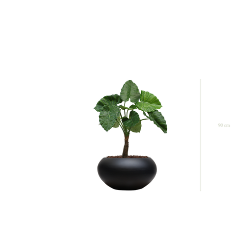 [A-PT5-FB13] The Small Alocasia in a black oval pot #Artificial