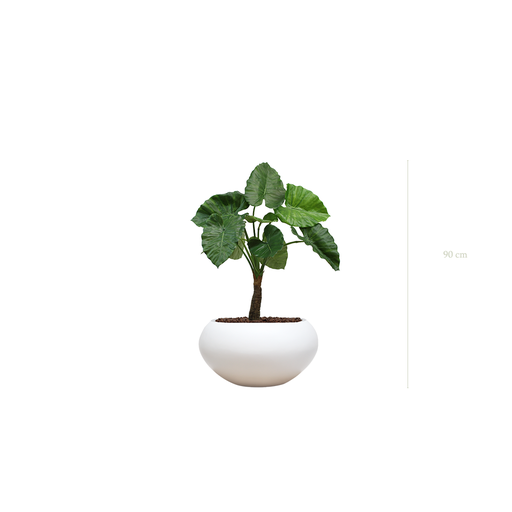 [A-PT5-FB14] The Small Alocasia in a white oval pot #Artificial