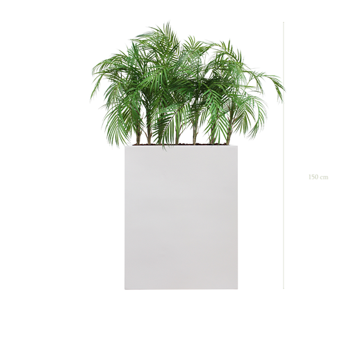 [A-TG9-FB1] Séparateur M. Palms - Bac Blanc #Artificiel