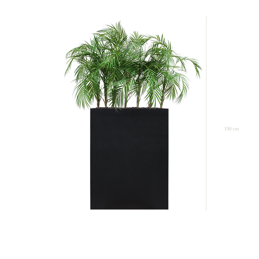 [A-TG9-FB2] The Palm M. black Divider #Artificial