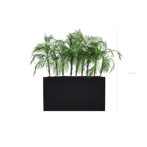[A-TG9-FB5] Séparateur S. Palms - Bac Noir #Artificiel