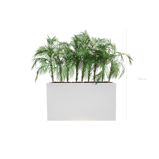 [A-TG9-FB6] Séparateur S. Palms - Bac Blanc #Artificiel